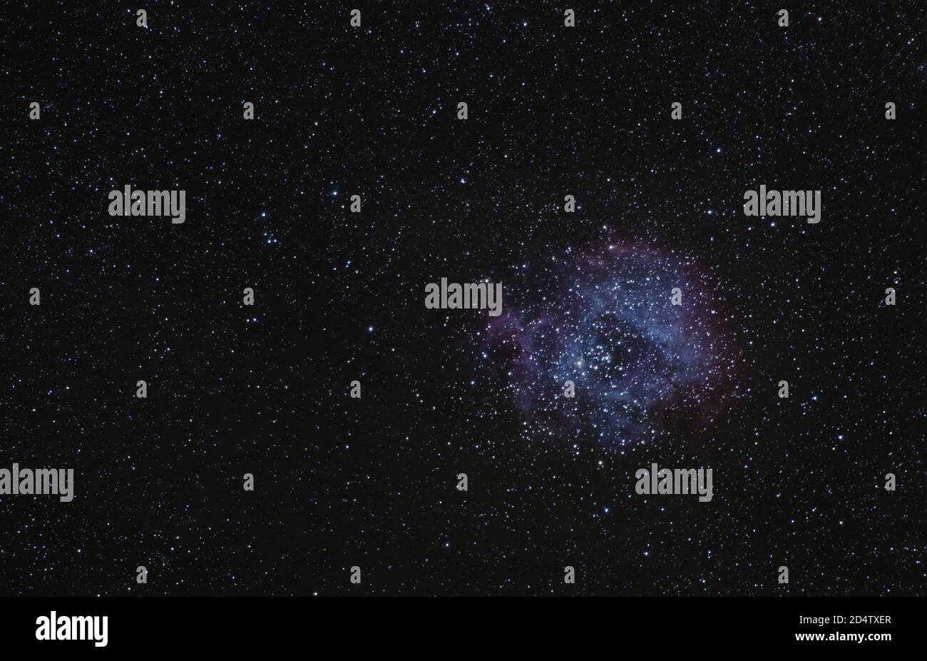La Rosette Nebula en bas à droite entourée d'étoiles. Banque D'Images