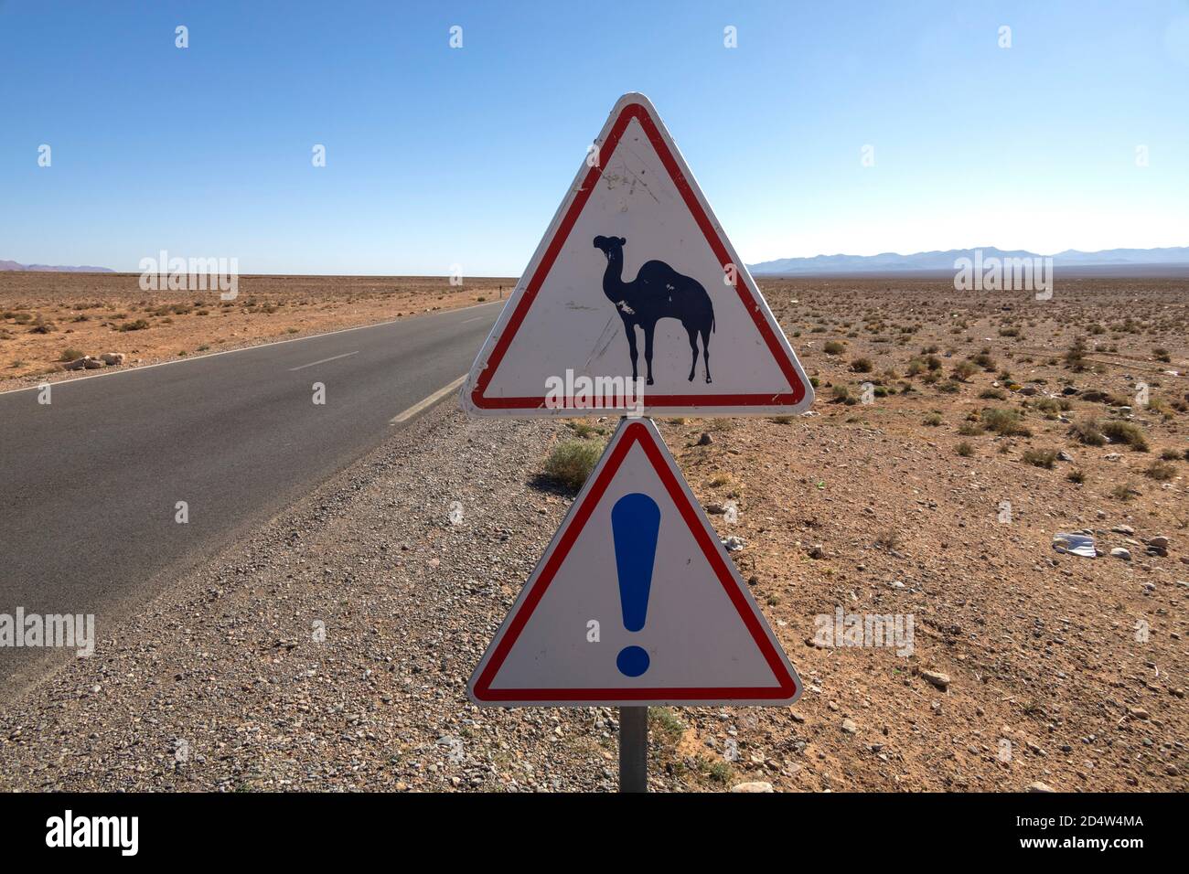 Anti-Atlas, Maroc. 23 février 2020. Panneau de signalisation indiquant le passage des chameaux le 23 février 2020 à anti-Atlas, Maroc. Banque D'Images