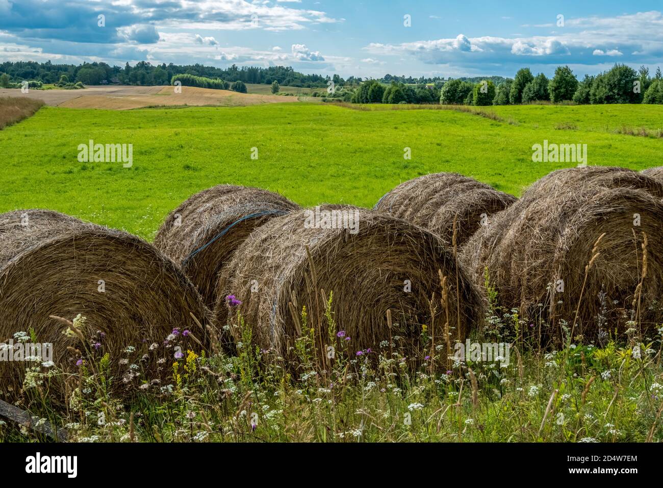 Vue sur le paysage d'un champ rural vert avec une pile de foin par une journée ensoleillée. Banque D'Images