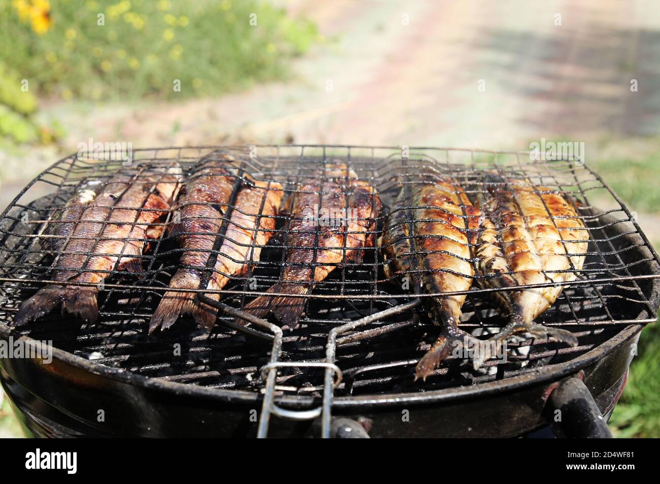 Poissons de mer frais sur le grill en plein air en été. Une alimentation saine. Banque D'Images