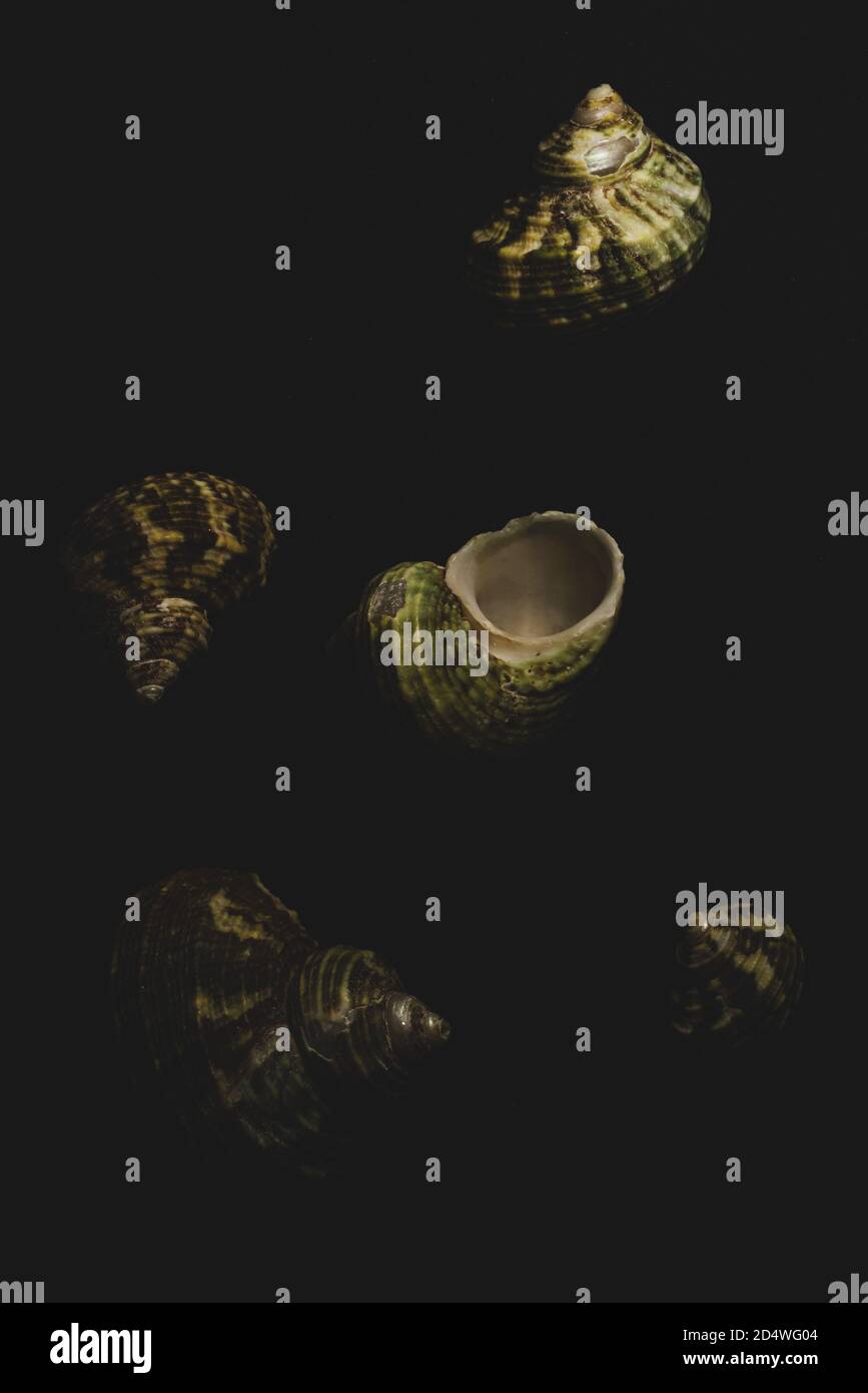 Macro enveloppe turban gros plan, mise au point sélective Banque D'Images