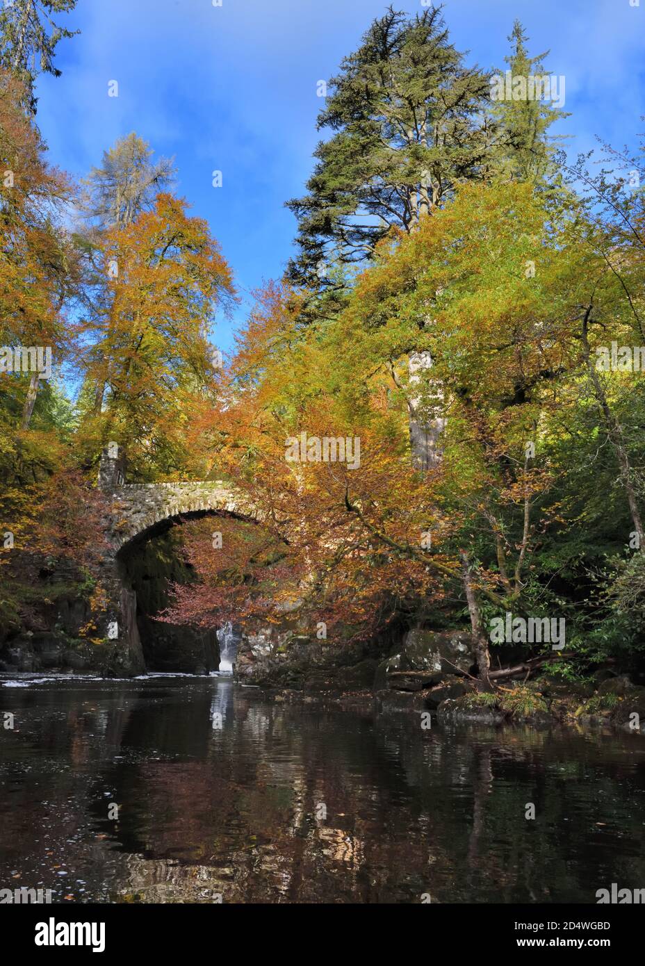 Dunkeld, Écosse, Royaume-Uni. 11 octobre 2020. Les nuages brisés ont permis à de brefs rayons de soleil d'éclairer les couleurs des arbres d'automne à la cascade de l'Hermitage près de Dunkeld. Banque D'Images