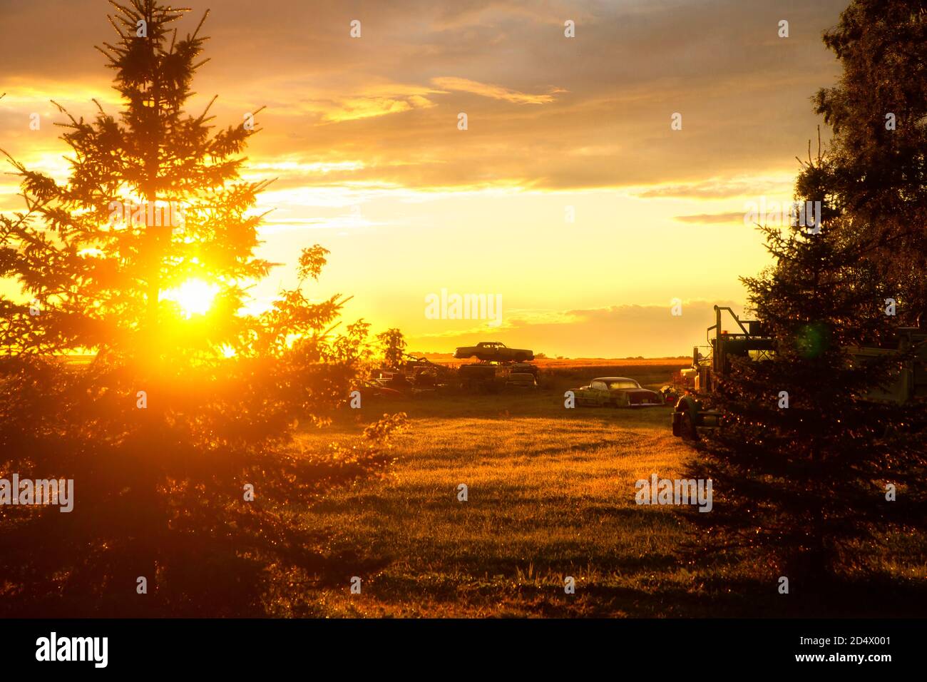 Une cour de récupération de vieux véhicules entre deux arbres dans un paysage de campagne coucher de soleil Banque D'Images