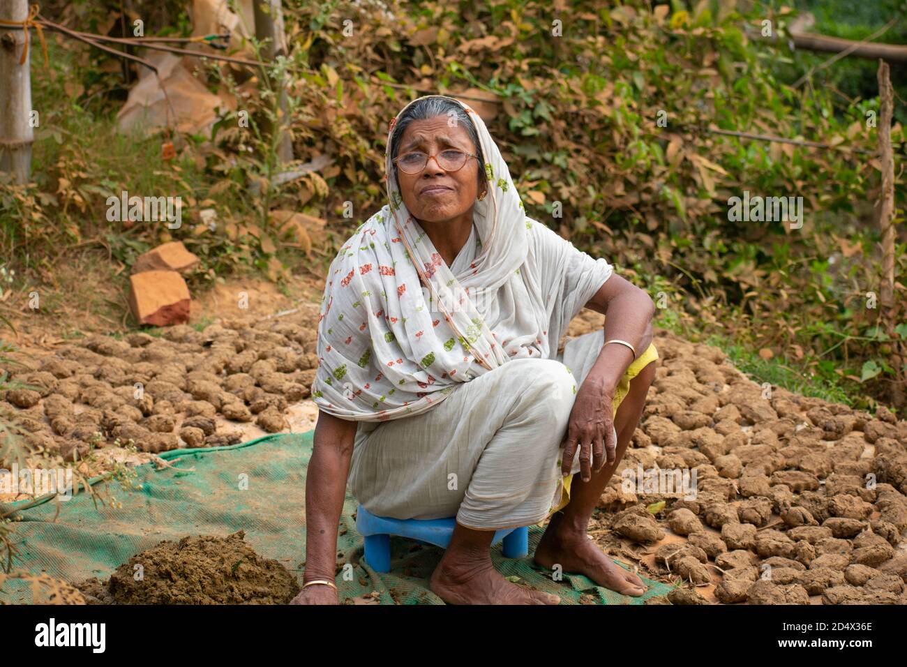 Khirai Midnapore, Bengale-Occidental, Inde - 11 octobre 2020 : une vieille femme qui prépare un gâteau de poule de vache pour servir de combustible de cuisine. Banque D'Images
