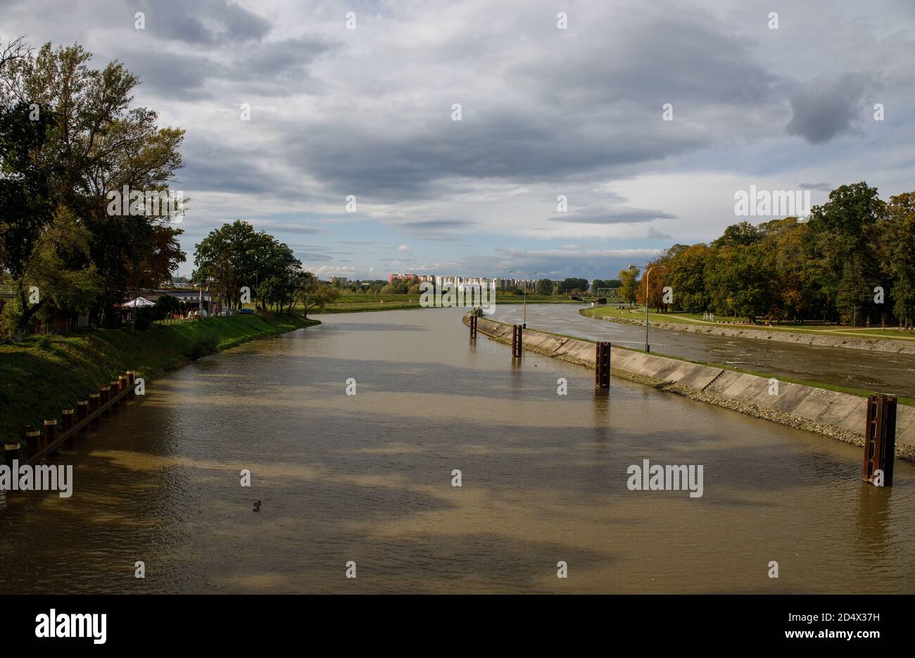 Rivière Odra près de la ville d'Opole en Pologne Banque D'Images