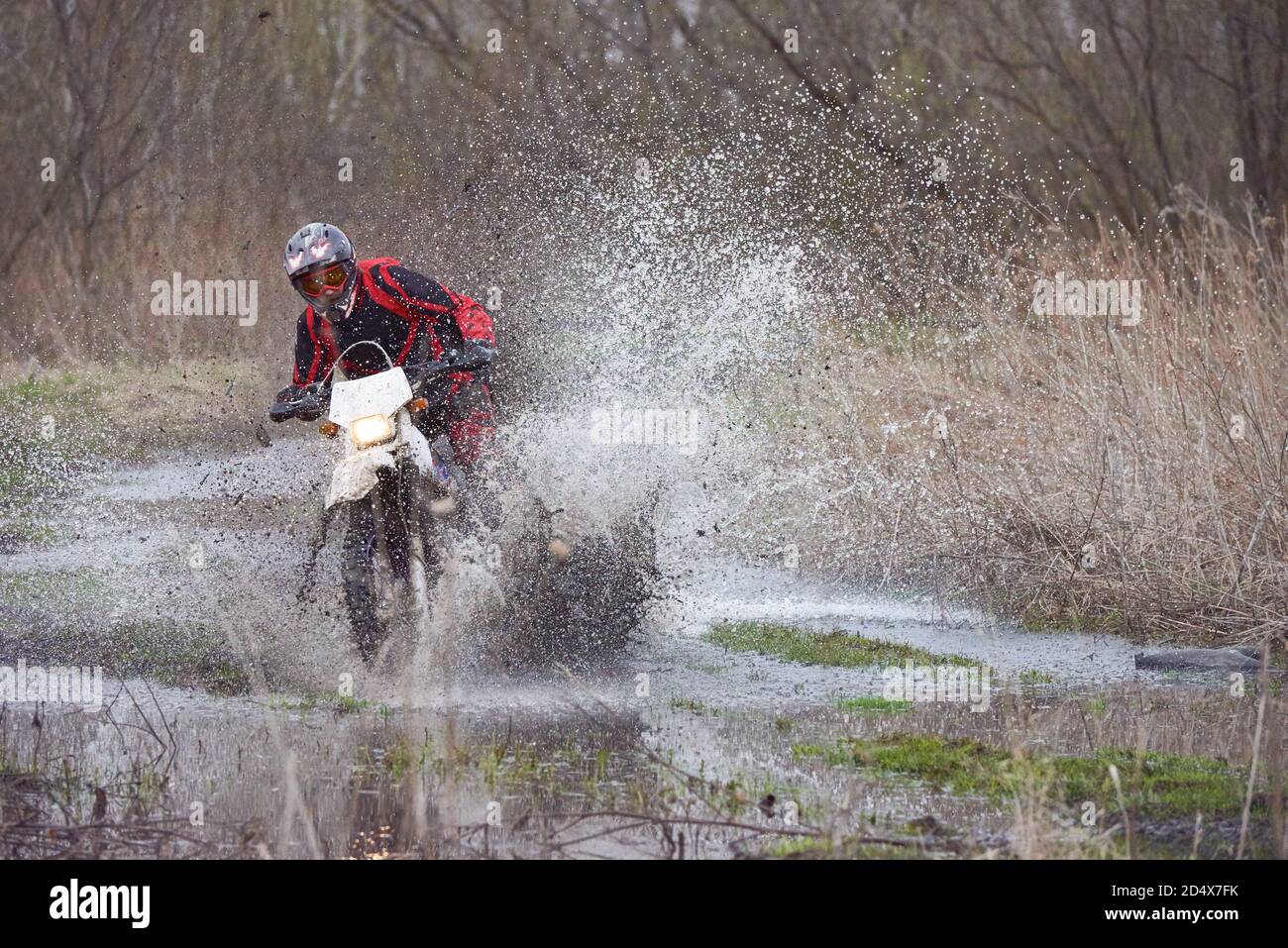 Course cycliste Motorcross dans les bois Banque D'Images