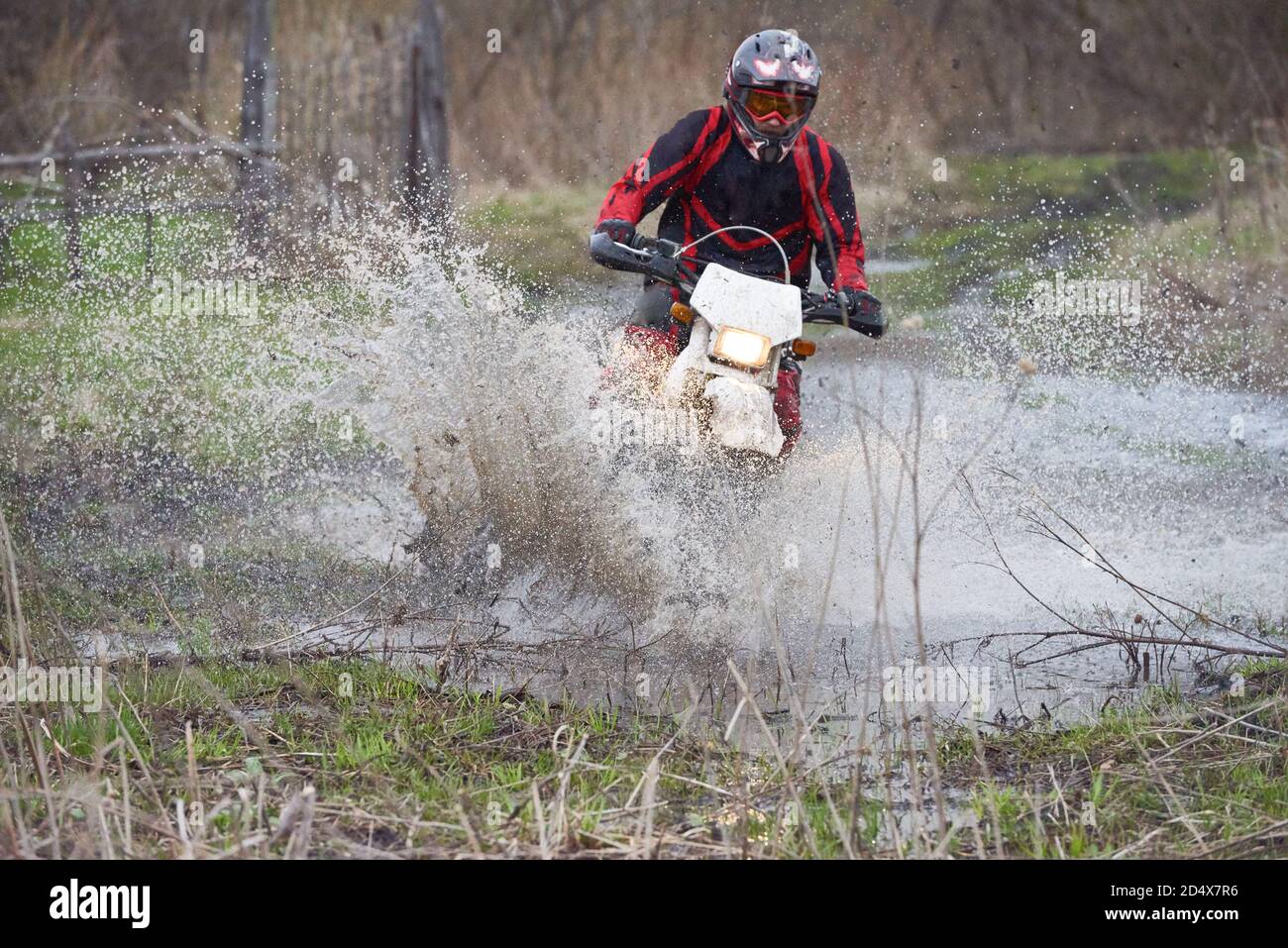 Course cycliste Motorcross dans les bois Banque D'Images