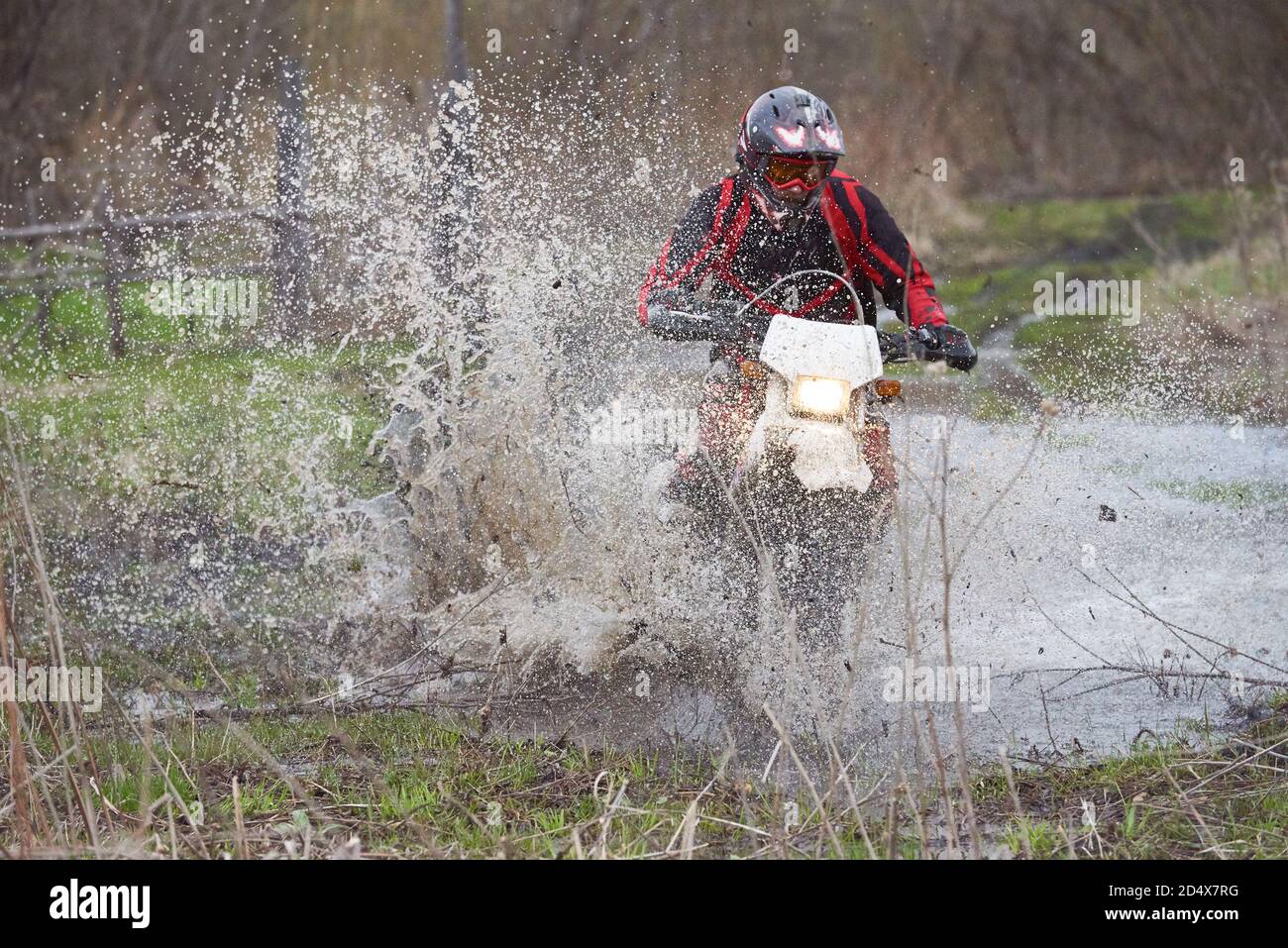 Course cycliste Motorcross dans les bois Banque D'Images