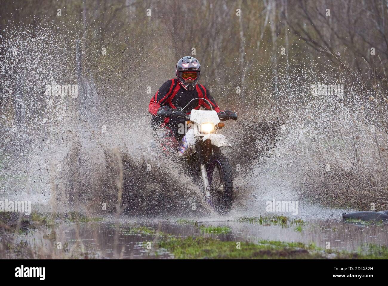 Course cycliste Motorcross dans les bois Banque D'Images