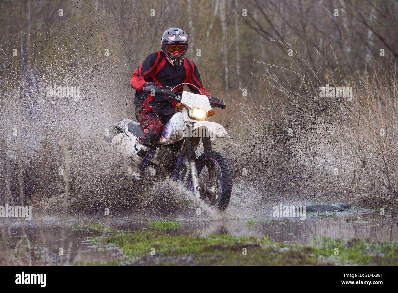 Course cycliste Motorcross dans les bois Banque D'Images