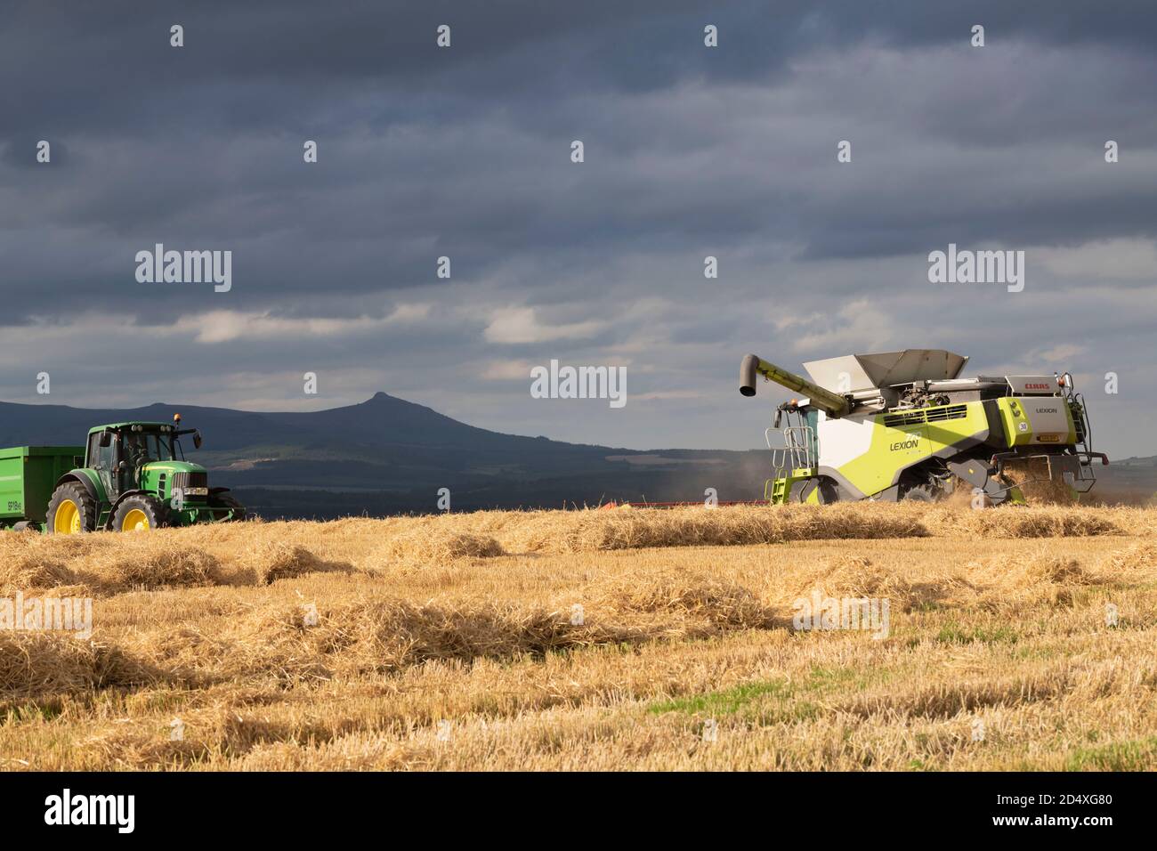 Un tracteur et une remorque verts attendent une moissonneuse-batteuse Dans un champ d'orge dans Aberdeenshire avec Bennachie dans L'arrière-plan Banque D'Images