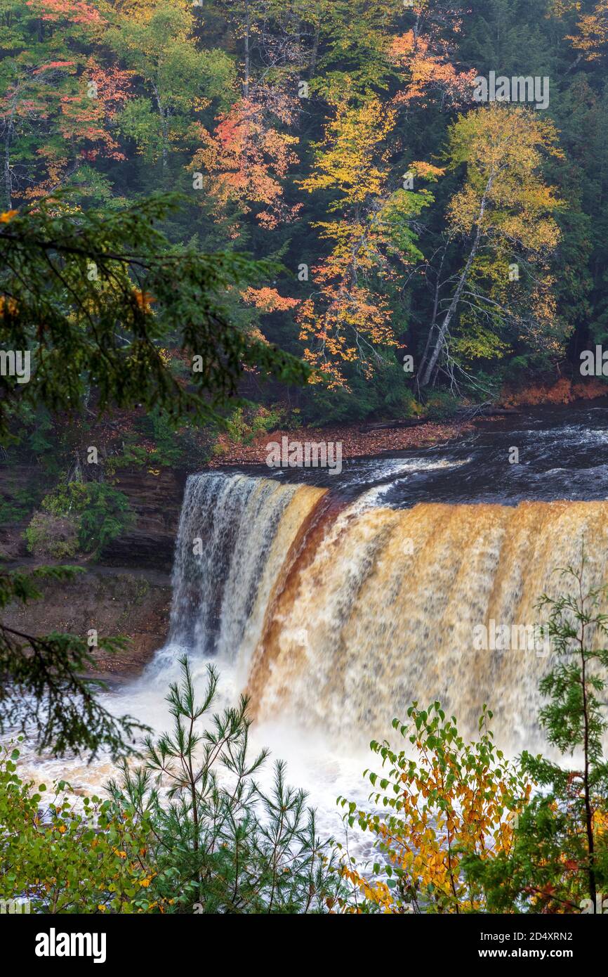 Upper Tahquamenon Falls, Tahquamenon Falls SP, automne, Michigan, États-Unis par James D Coppinger/Dembinsky photo Assoc Banque D'Images