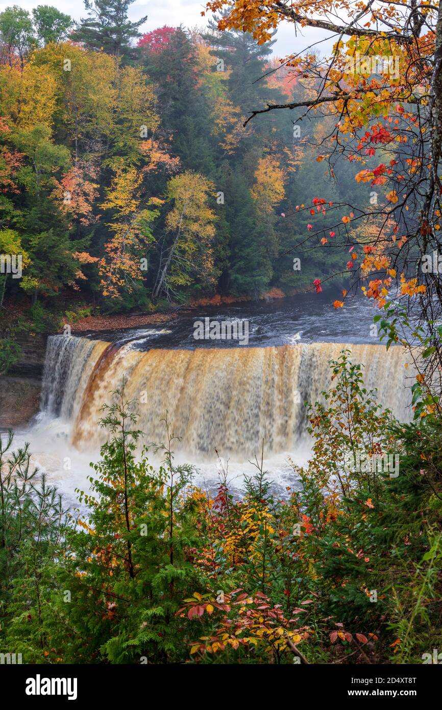 Upper Tahquamenon Falls, Tahquamenon Falls SP, automne, Michigan, États-Unis par James D Coppinger/Dembinsky photo Assoc Banque D'Images