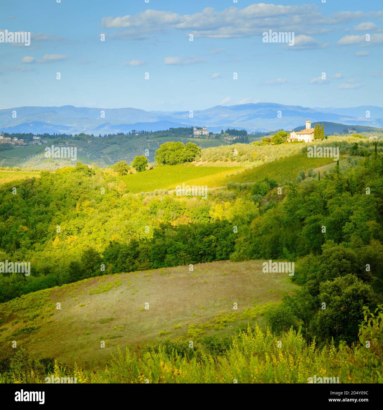 Vue panoramique sur les collines et les vignobles en Toscane, Italie Banque D'Images