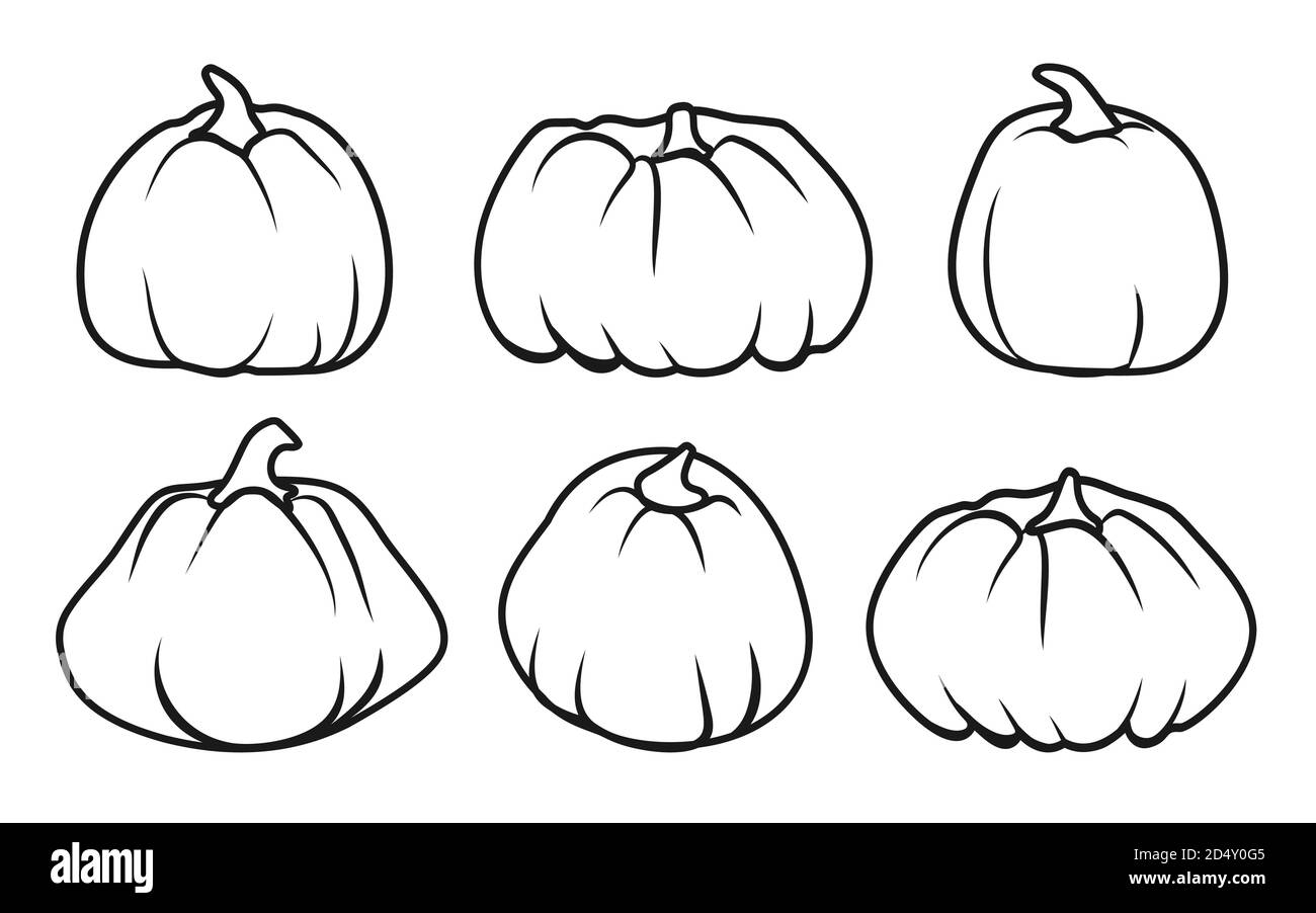 Ensemble de lignes noires icône de citrouille d'automne. Panneau Outline Thanksgiving et Halloween, capacité de récolte de saison. Modèle de contour de forme différente gourde. Pictogramme linéaire. Illustration vectorielle isolée Illustration de Vecteur