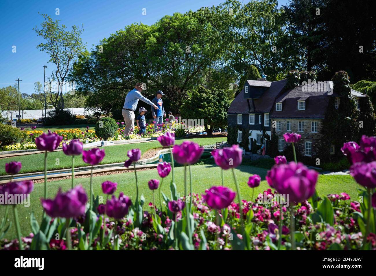 Canberra, Australie. 11 octobre 2020. Les gens voient les fleurs lors d'un festival annuel Floriade à Canberra, en Australie, le 11 octobre 2020. POUR ALLER AVEC 'Feature: Célébration du printemps dans le mini monde apporte de la joie, l'espoir aux Australiens dans l'ombre de COVID-19' crédit: Chu Chen/Xinhua/Alay Live News Banque D'Images