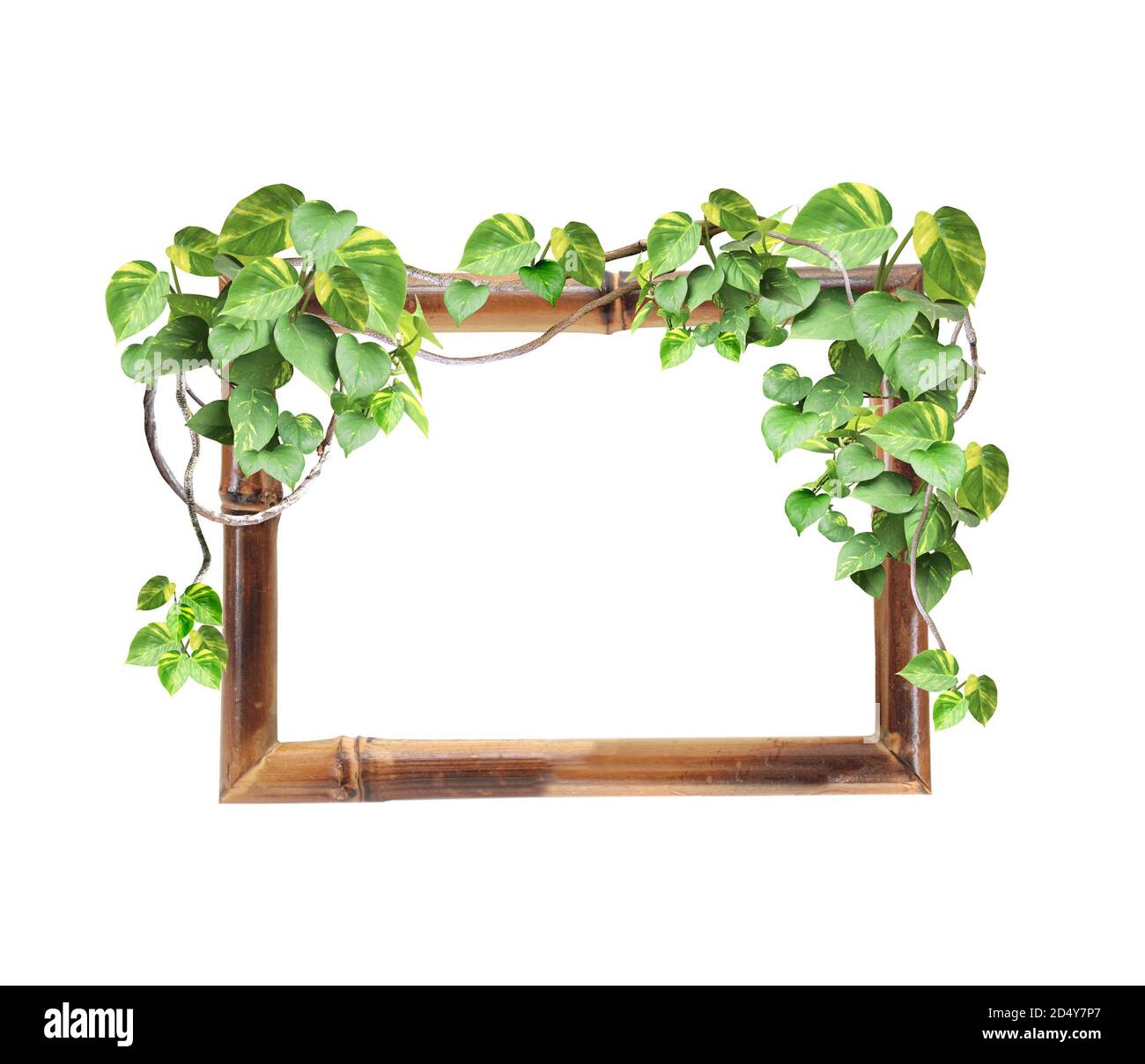 Cadre en bambou vintage avec branches de liana et feuilles tropicales. Arrière-plan Exotique avec cadre en bambou décoratif horizontal et plantes de jungle. Copier Banque D'Images