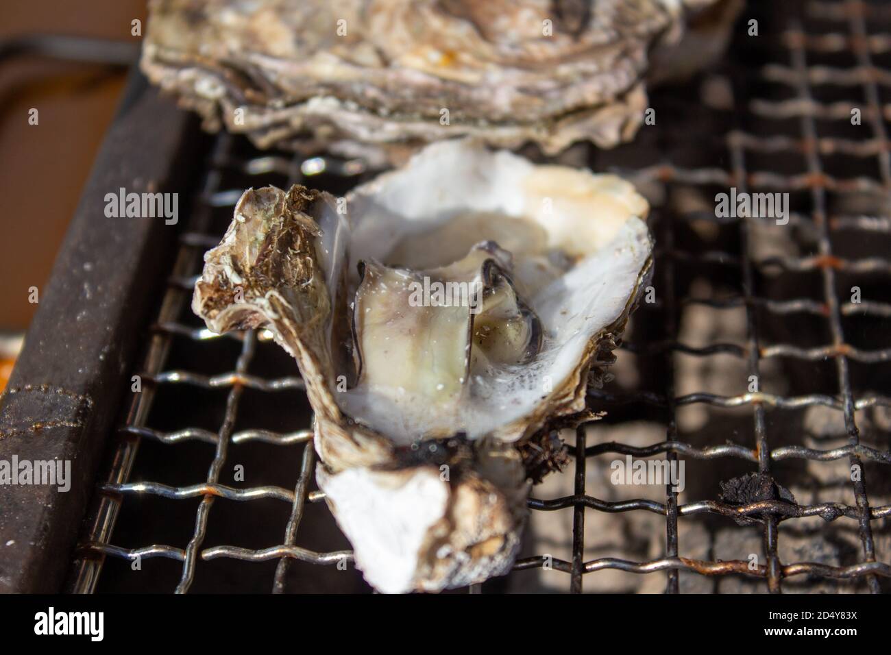 Huîtres grillées avec le feu du charbon de bois Photo Stock - Alamy