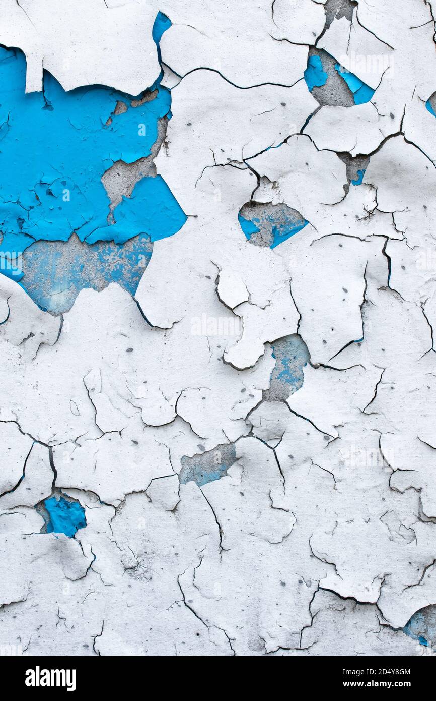Peinture écaillée sur l'ancien mur en béton. Plâtre fissuré, stuc feuilleâtre. Arrière-plan abstrait peint en bleu et blanc, surface de grunge, texture de motif. Sale Banque D'Images