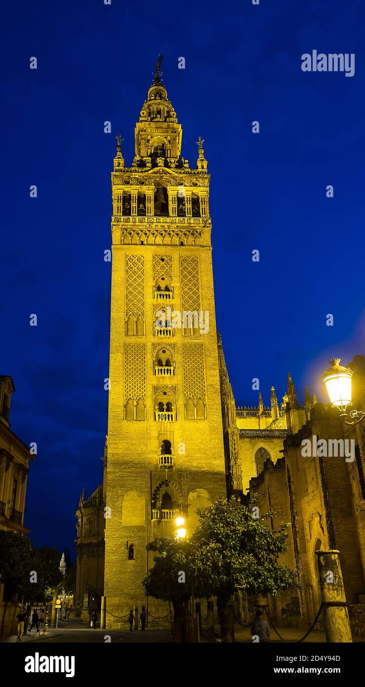 La célèbre tour de cloche nommée Giralda dans la cathédrale catholique de Saint Mary, Catedral de Santa Maria de la Sede à Séville, Andalousie, Espagne la nuit Banque D'Images