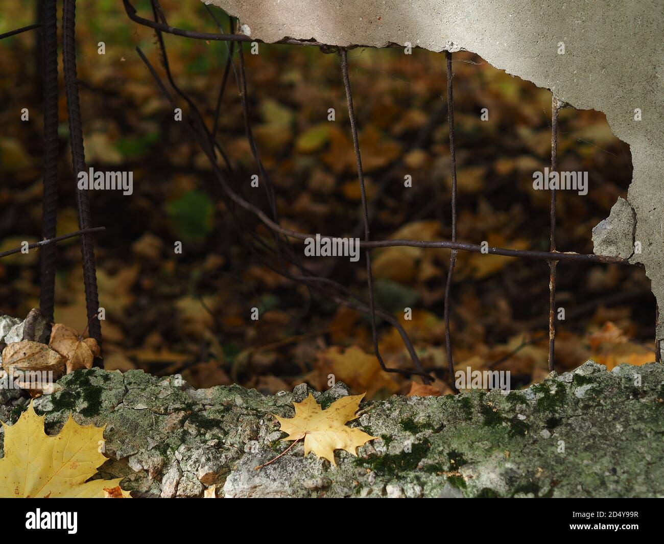 Une clôture en béton brisée. Un trou d'une coque dans une clôture en béton. Banque D'Images
