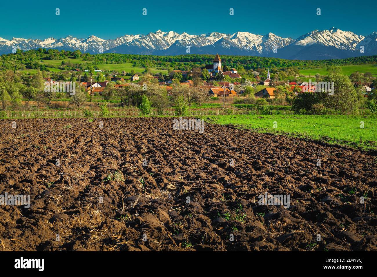 Terres cultivées près du village saxon Hosman et spectaculaires montagnes enneigées en arrière-plan, région de Sibiu, Transylvanie, Roumanie Banque D'Images