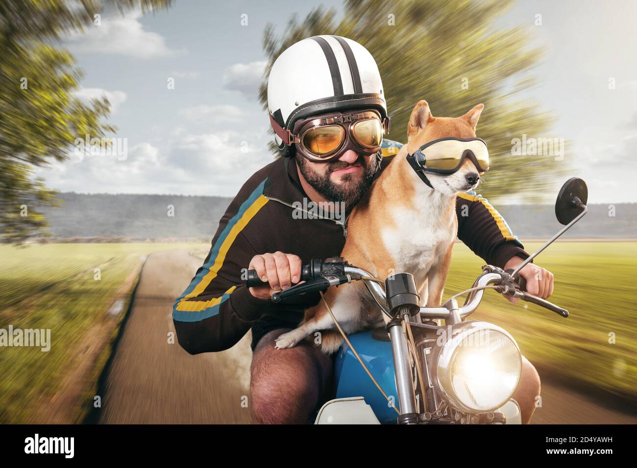 Homme et son chien sur une moto d'époque au sommet vitesse Banque D'Images