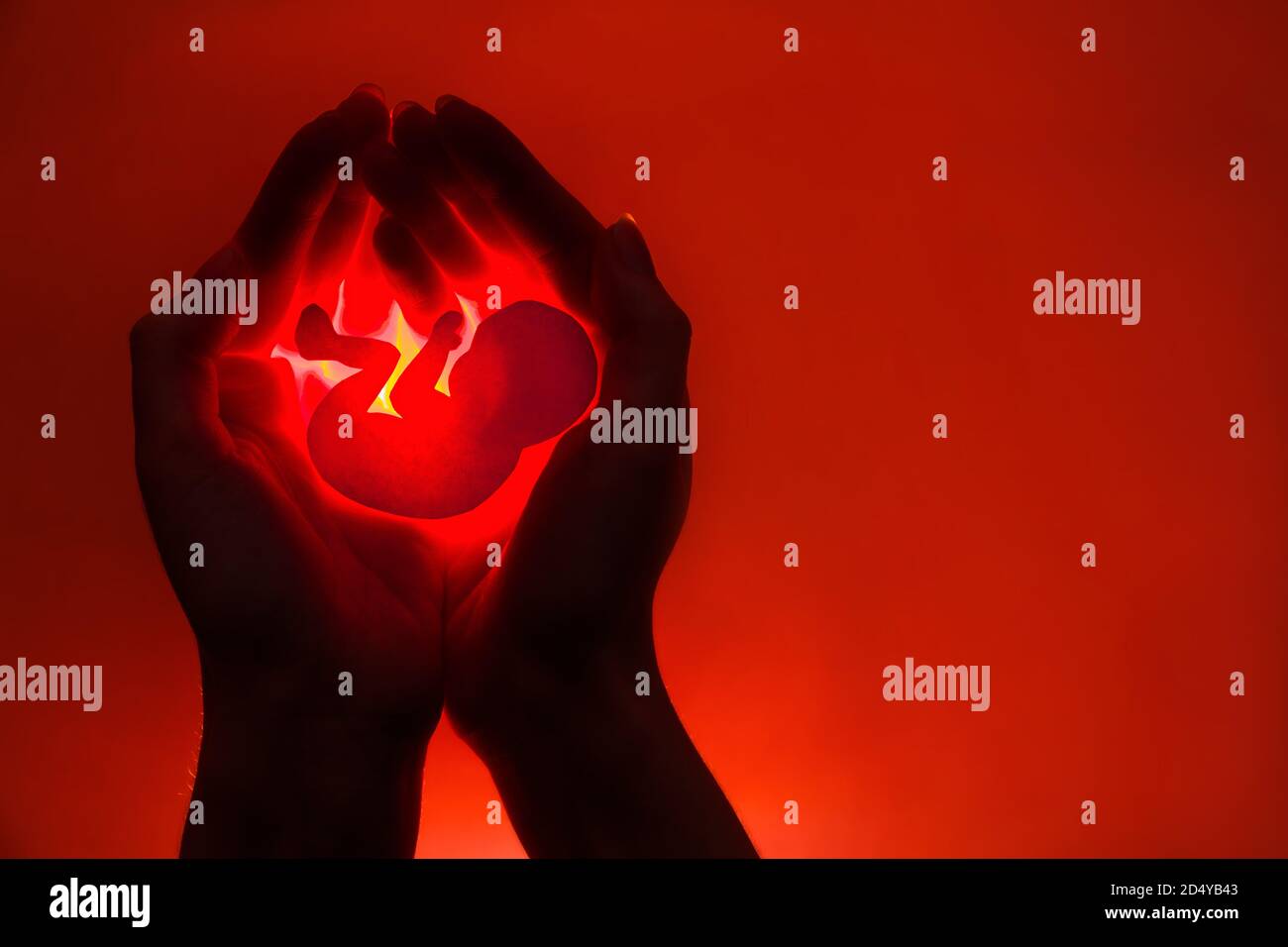 silhouette des mains femelles tenant un embryon de papier sur fond rouge. concept. Banque D'Images