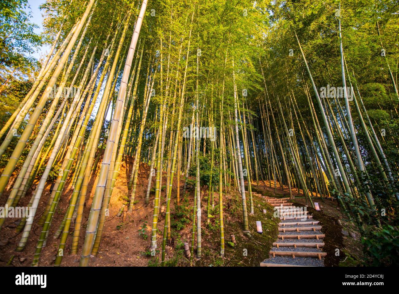 Kodai ji temple Banque de photographies et d’images à haute résolution