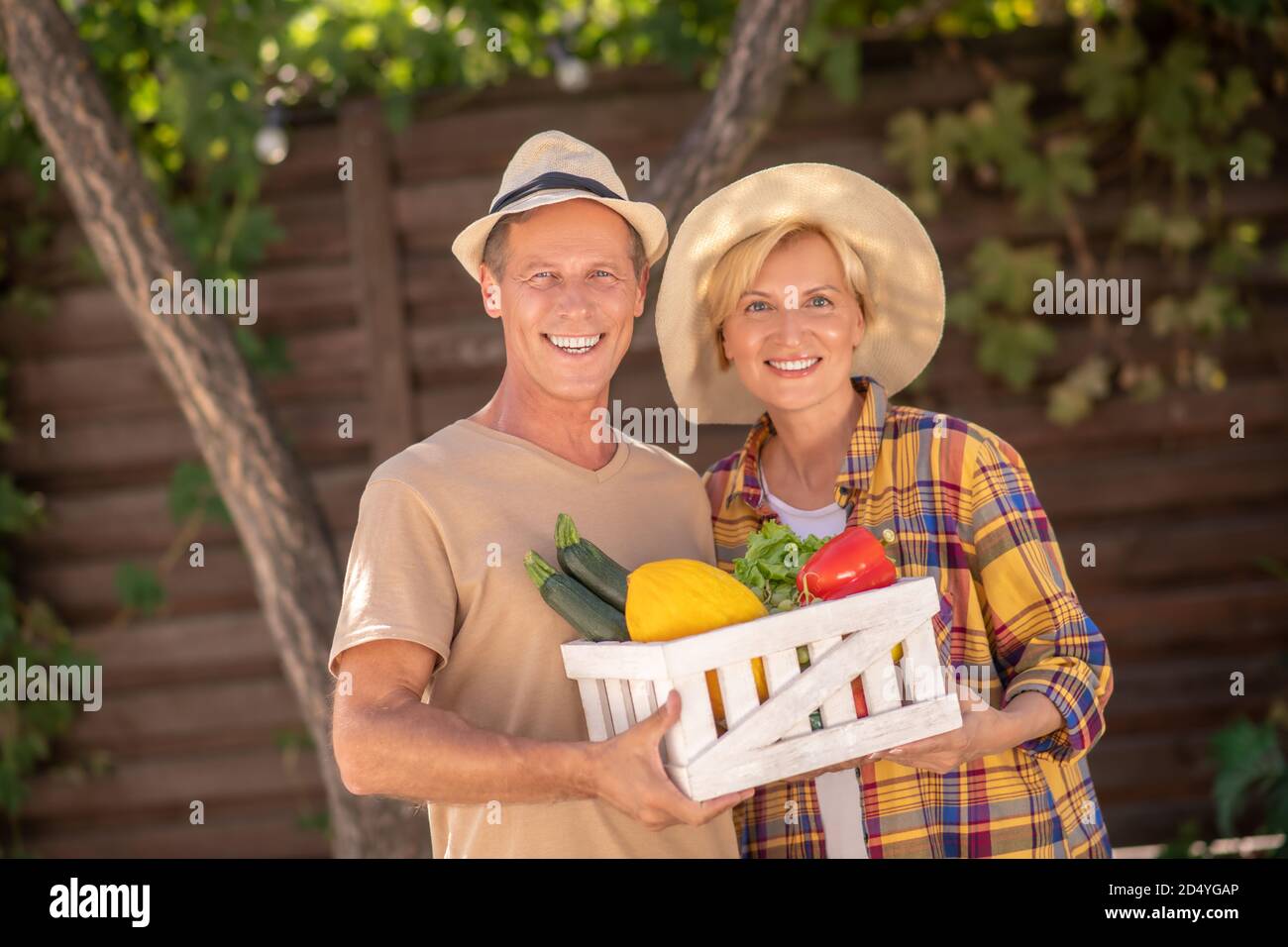 Souriants fermiers hommes et femmes tenant le panier avec des légumes Banque D'Images