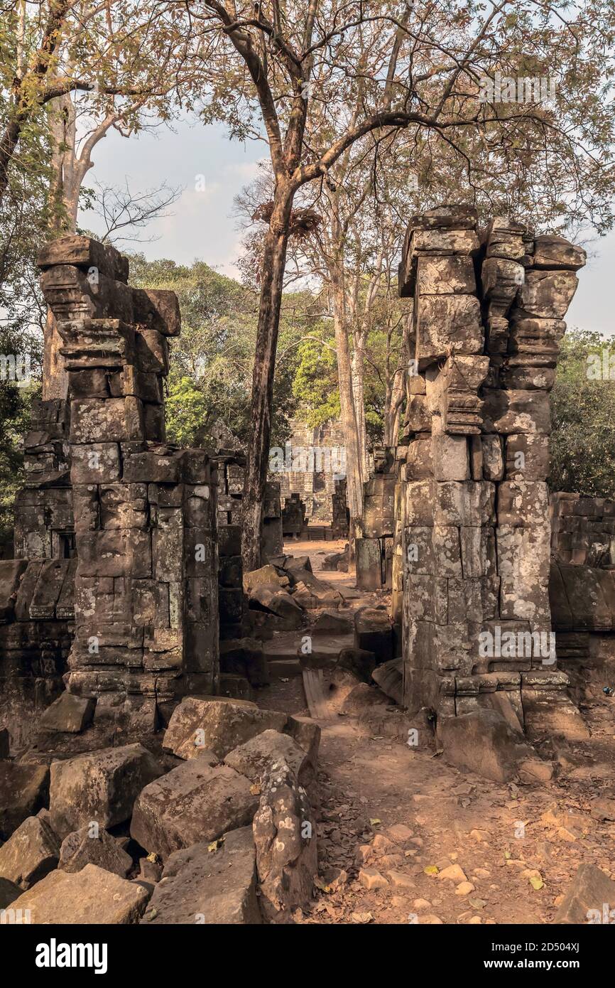 Angkor Wat, Cambodge. Patrimoine mondial de l'UNESCO. Paysage archéologique de Koh Ker Moss sur les blocs de laterite en pierre de grès à Angkor Banque D'Images