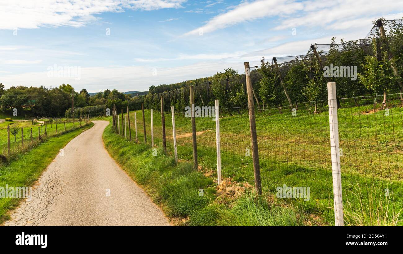 Puch BEI Weiz ville sur la rue des pommiers célèbre pour les vergers de pommiers dans la région de Styrie. Banque D'Images