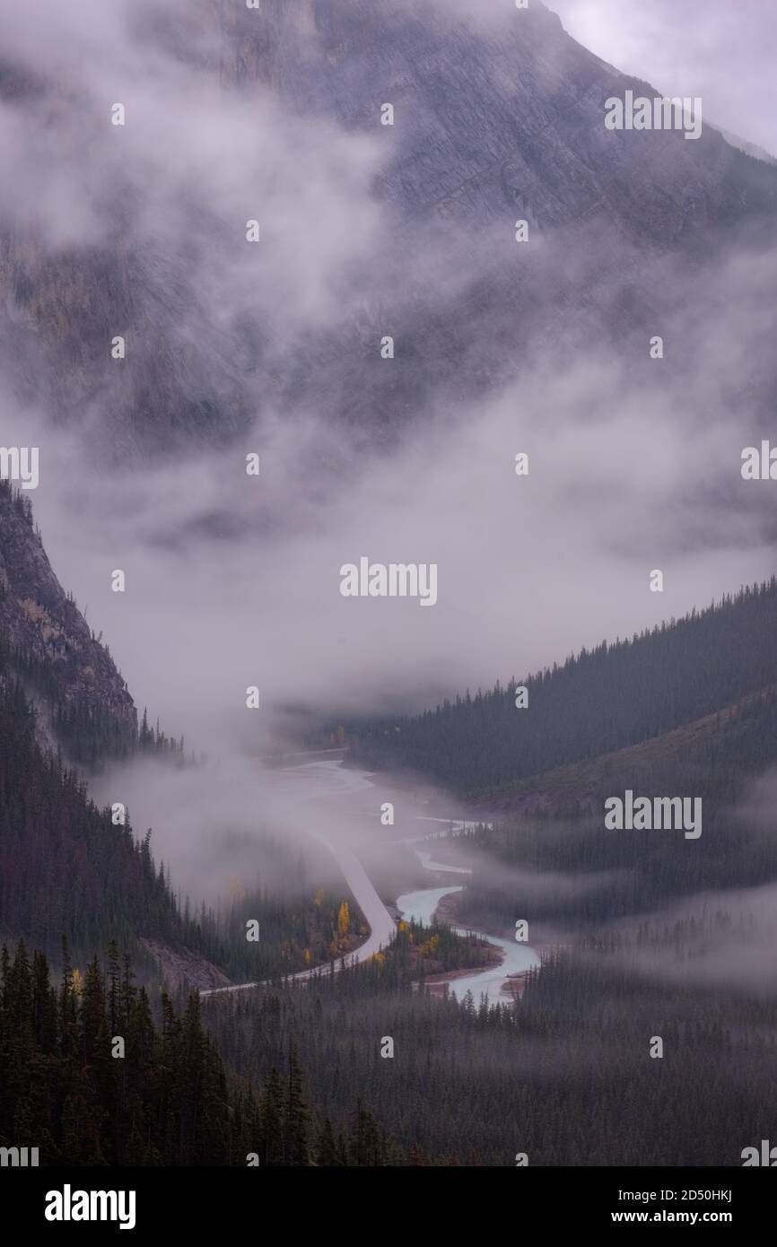 Stormy et Foggy Morning Icefields Parkway, parc national Banff Banque D'Images