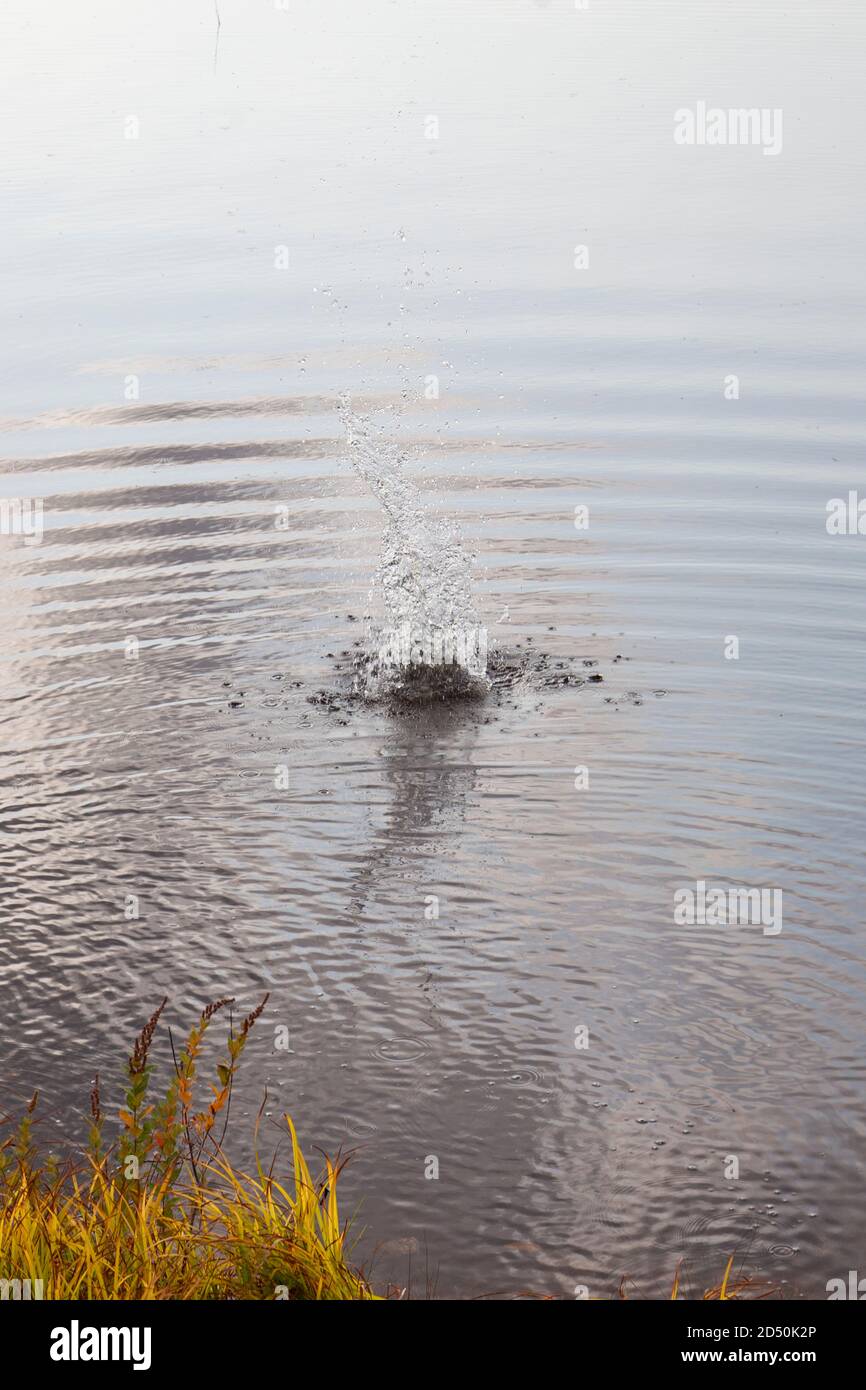 La forte éclaboussure de gouttelettes d'eau après un rocher lancé dans l'océan Banque D'Images
