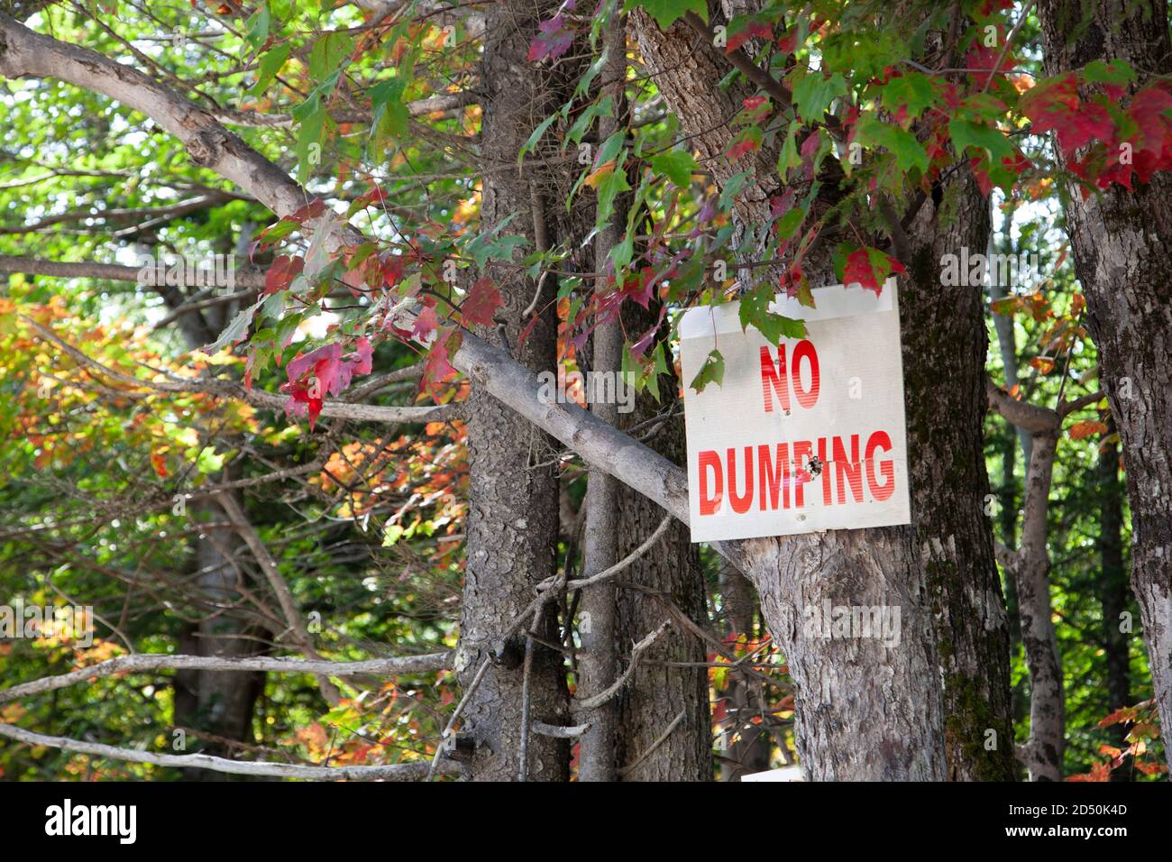 Un panneau avertissant les voyageurs de ne pas laisser de déchets dans le bois Banque D'Images