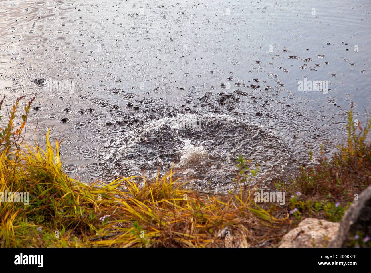 Une grosse éclaboussure dans l'eau avec de petites ondulations coulant vers l'extérieur Banque D'Images