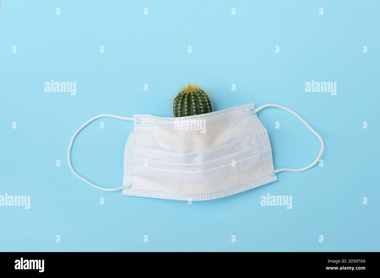 Nouveau Normal avec le concept de protection des virus coronavirus. Masque d'hygiène à mettre en quarantaine à partir du covid-19 sur fond cactus.Creative. Banque D'Images
