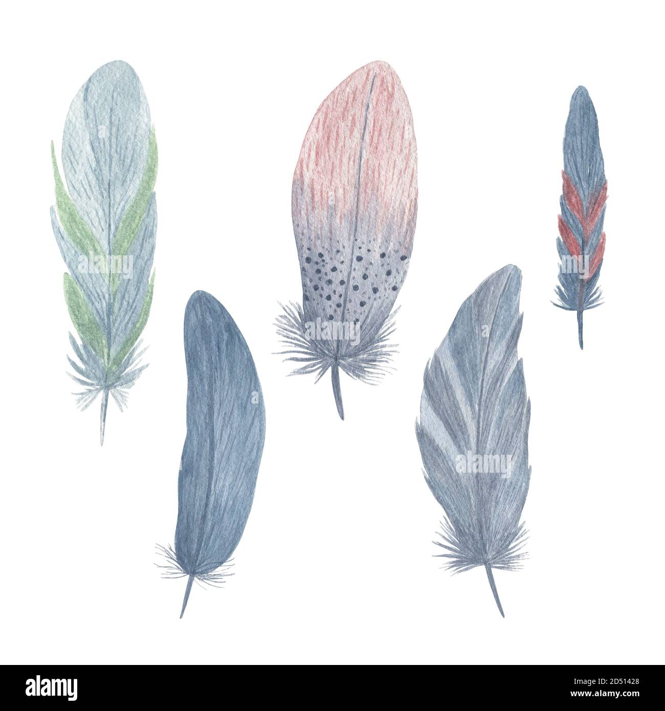Ensemble de plumes d'oiseau fantaisie colorées aquarelle illustration style boho ailes décoratives pour un design rustique créatif, invitation de mariage, textile domestique Banque D'Images