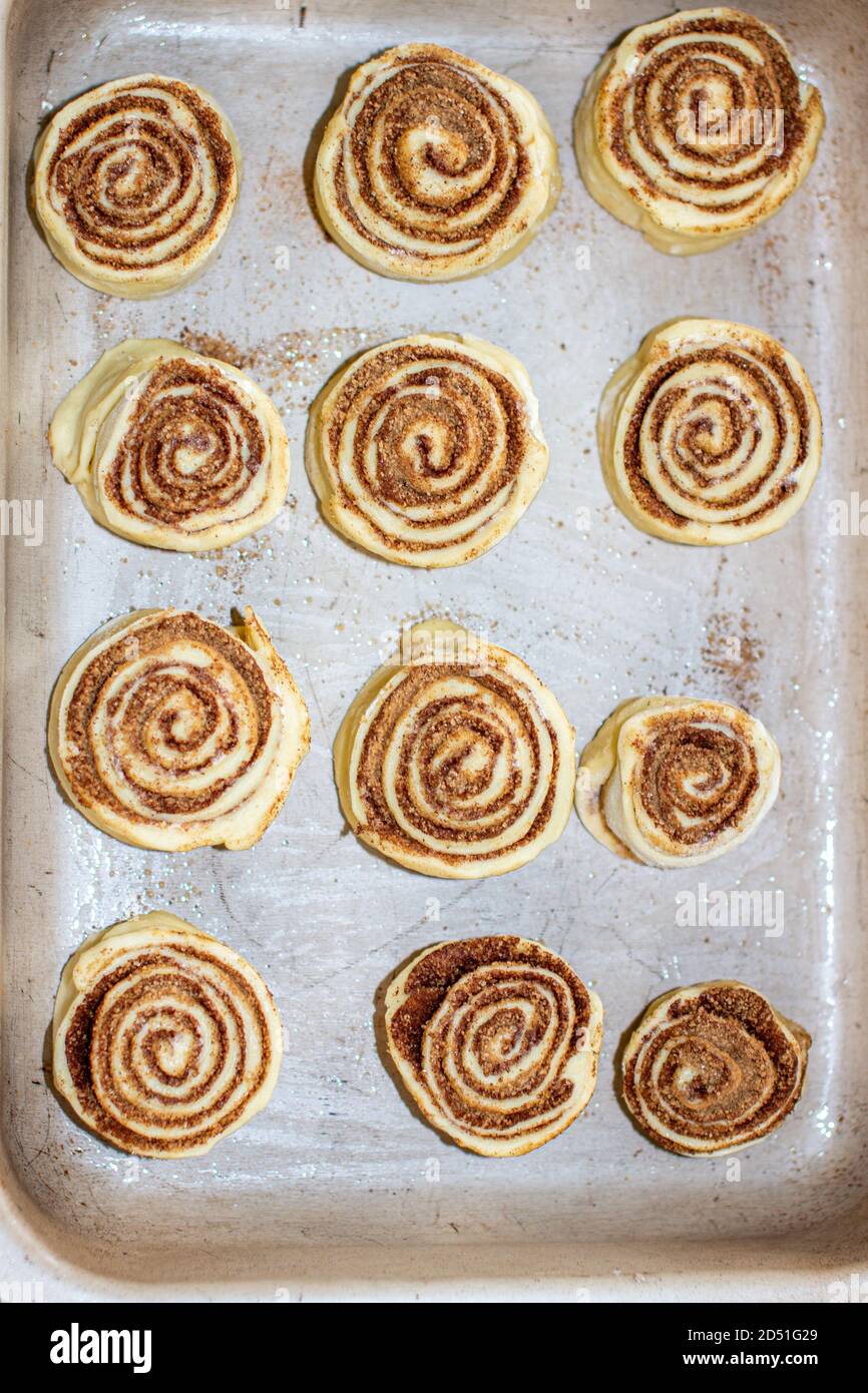 Roulé de la pâte à la cannelle sur une plaque de cuisson dans le four. Banque D'Images