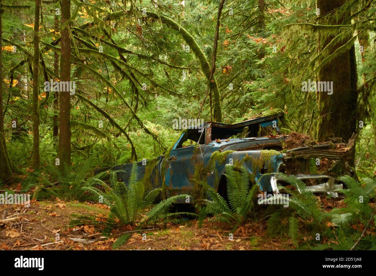Une chaude journée d'automne dans un parc de la colombie-britannique. Banque D'Images
