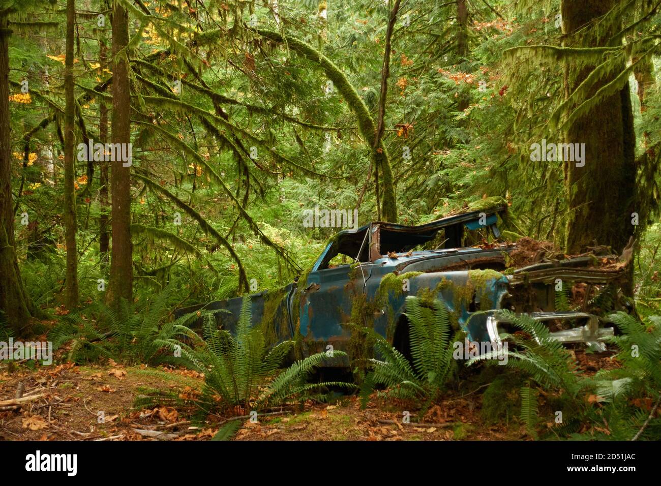 Une chaude journée d'automne dans un parc de la colombie-britannique. Banque D'Images