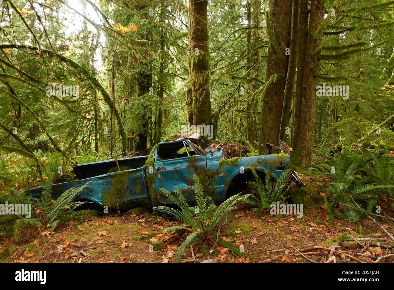 Une chaude journée d'automne dans un parc de la colombie-britannique. Banque D'Images