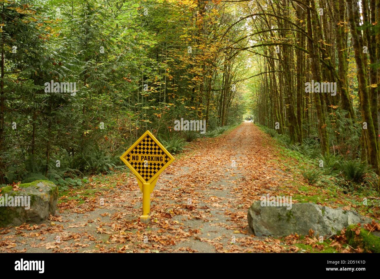 Une chaude journée d'automne dans un parc de la colombie-britannique. Banque D'Images