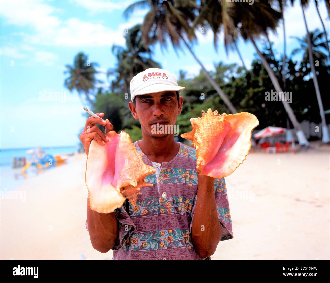 Shell Diver Boca chica beach dominican republic Banque de photographies et d’images ...
