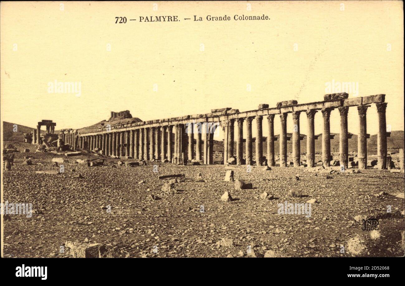 Palmyre syrien, vue générale de la Grande Colonnade | utilisation dans le monde entier Banque D'Images