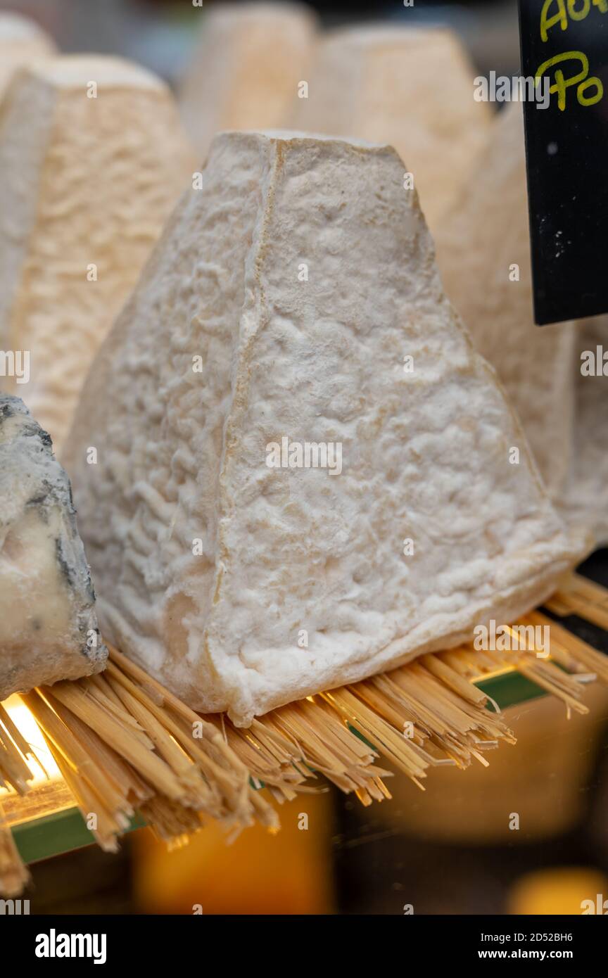 Collection de fromages, fromage de pyramide de Pouligny français à base ...