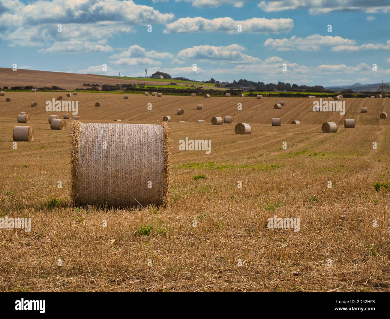 Foin de balles dans un champ moissonné à la fin de L'été au Royaume-Uni Banque D'Images