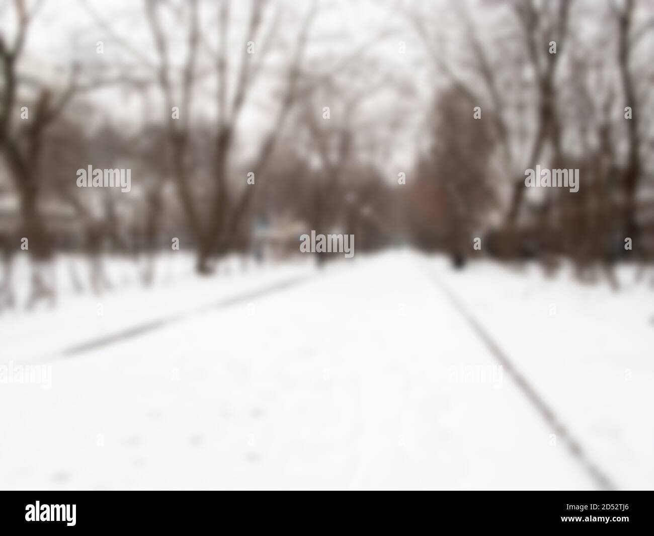 Photographie avec effet de flou. Journée d'hiver nuageux dans le parc. Froid, calme et calme de la nature d'hiver. Arrière-plan flou pour votre conception Banque D'Images