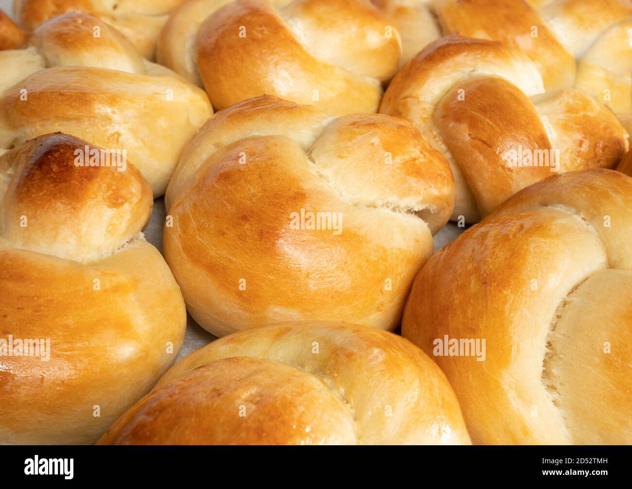 Petits pains blancs de pain de levure en forme de nœud. Pain traditionnel suisse au beurre appelé Zopf ou Challah. Gros plan des rouleaux de nœud tressés d'une seule portion. Banque D'Images