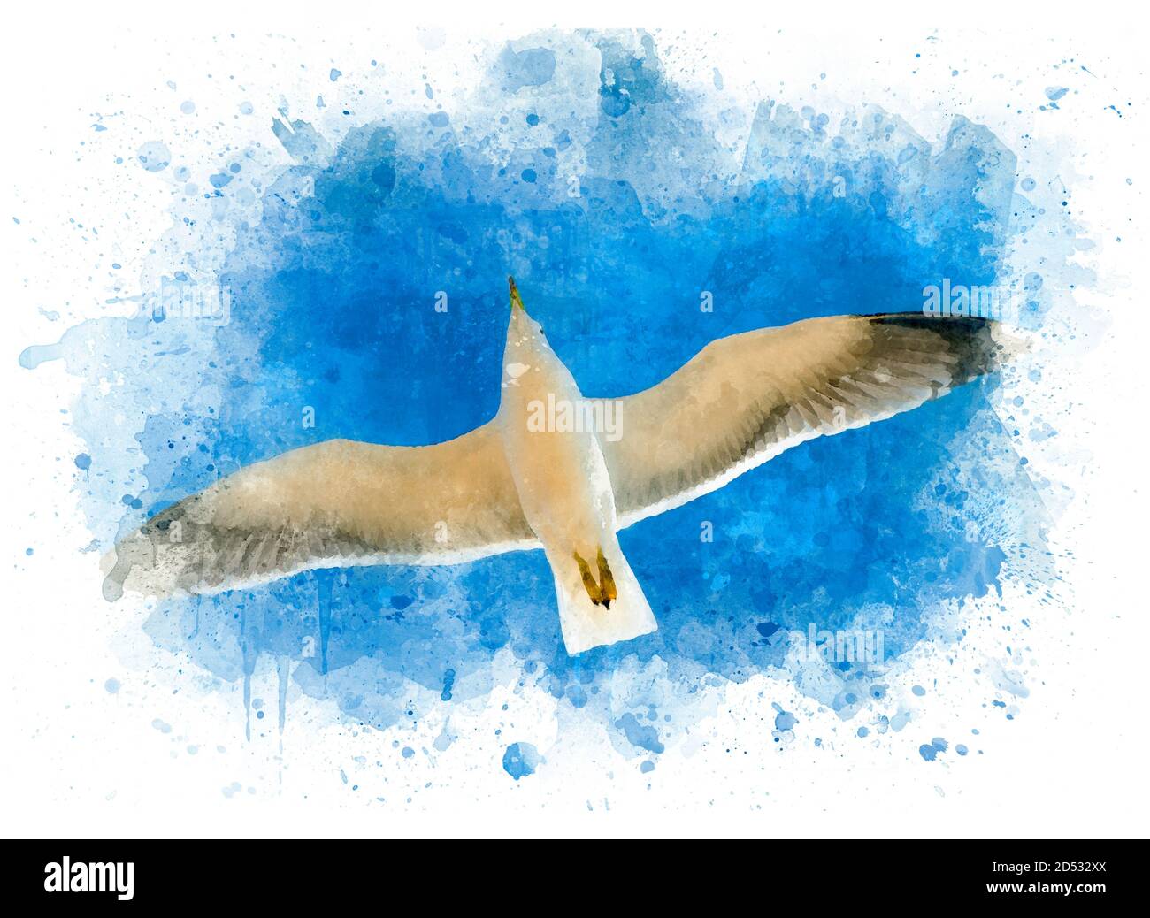Mouette sur ciel bleu volant au-dessus de la mer, carte postale comme esquisse, dessin aquarelle Banque D'Images